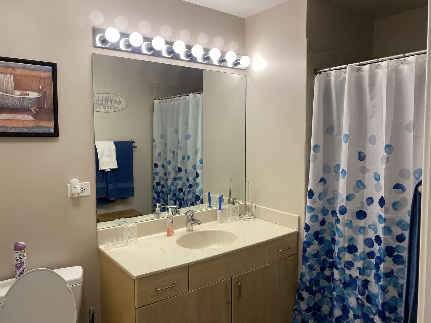 235 West Van Buren Street, Unit 1603 Chicago, IL 60607 - Photo 17 of 33