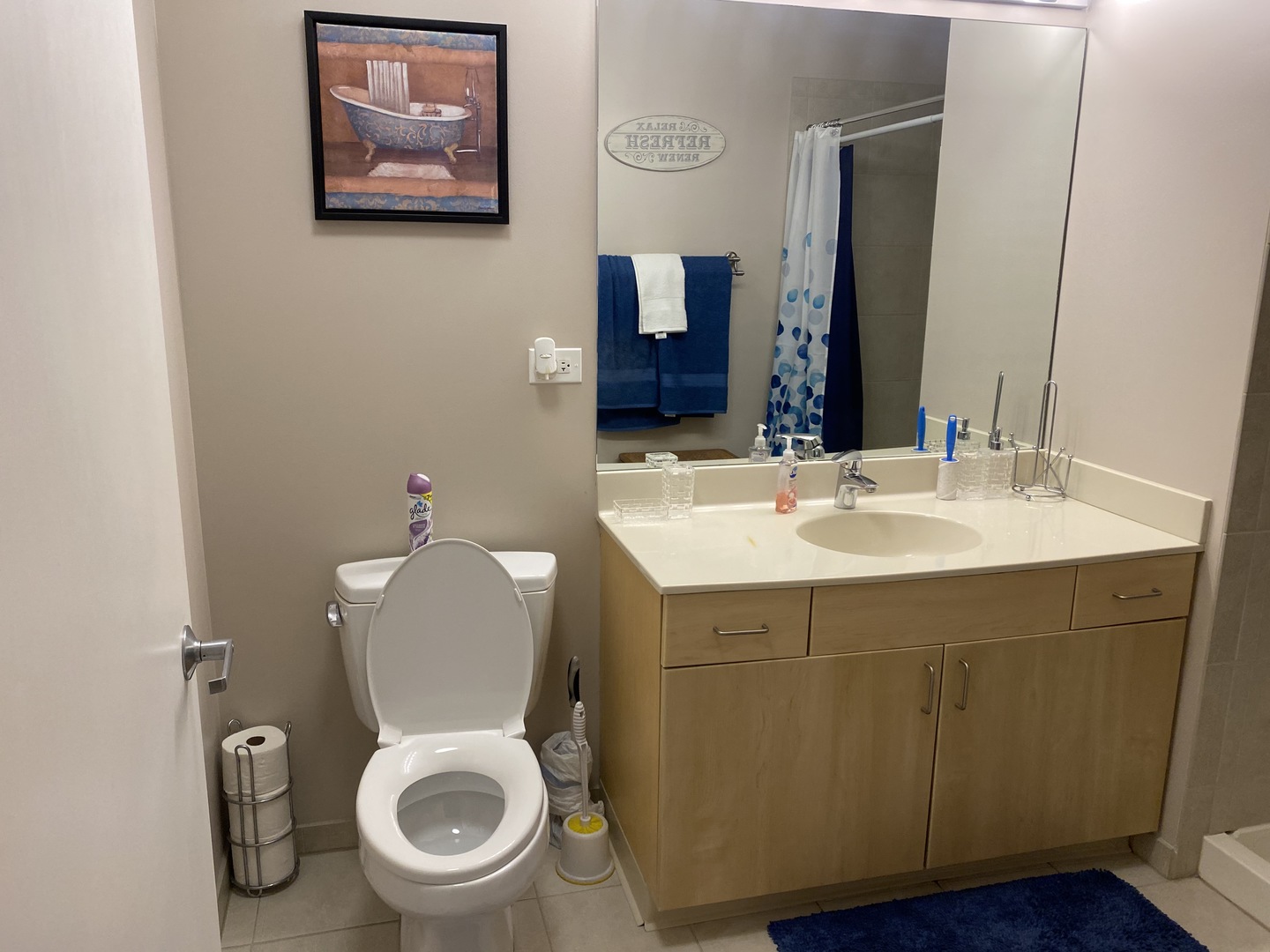 235 West Van Buren Street, Unit 1603 Chicago, IL 60607 - Photo 19 of 33