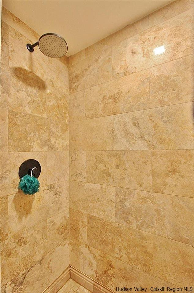150 Nelson Hoff Road Saugerties, NY 12477 - Photo 23 of 31 a bathroom with a shower
