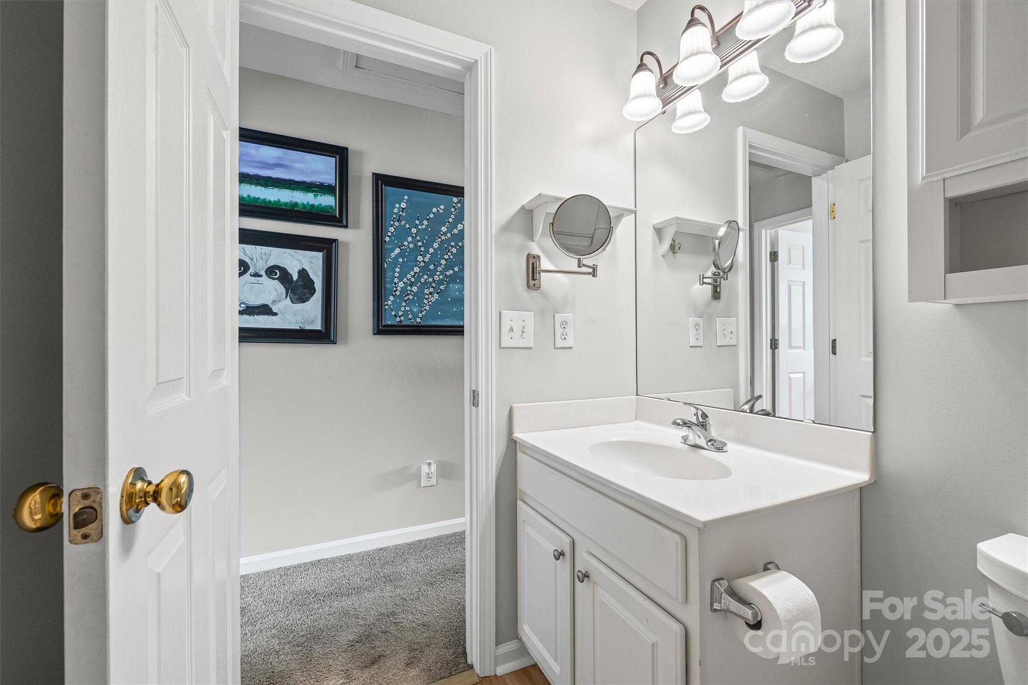 316 Tinder Box Lane Fort Mill, SC 29708 - Photo 23 of 28 a bathroom with a sink vanity and mirror