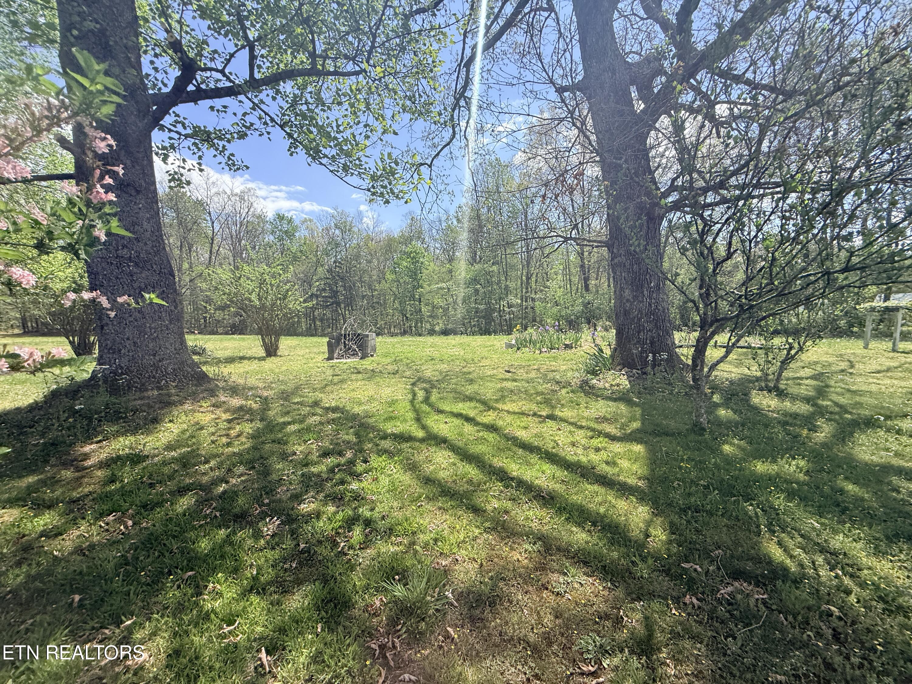 1243 Franklin Loop Clarkrange, TN 38553 - Photo 15 of 18 IMG_3537