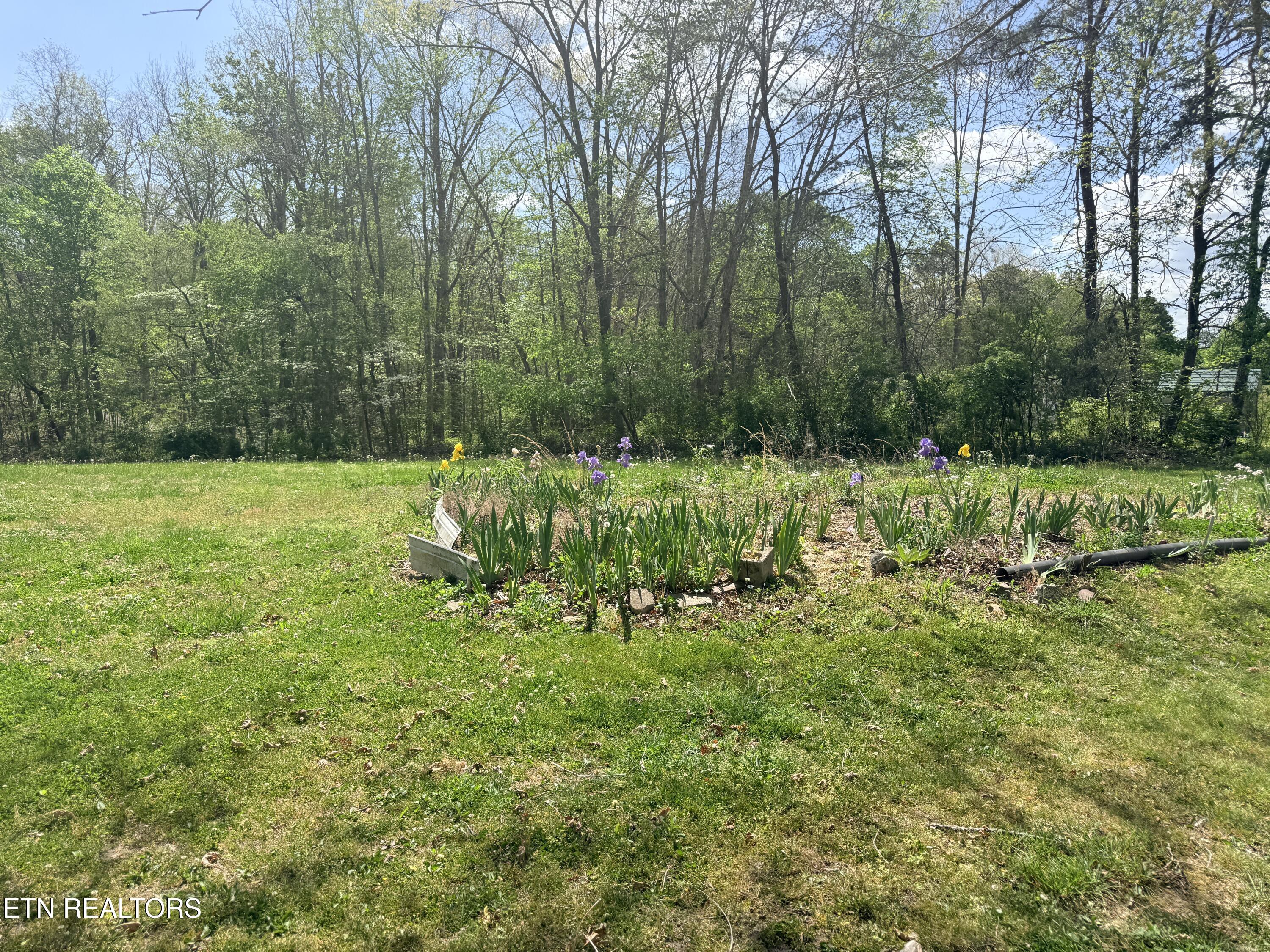 1243 Franklin Loop Clarkrange, TN 38553 - Photo 18 of 18 IMG_3542