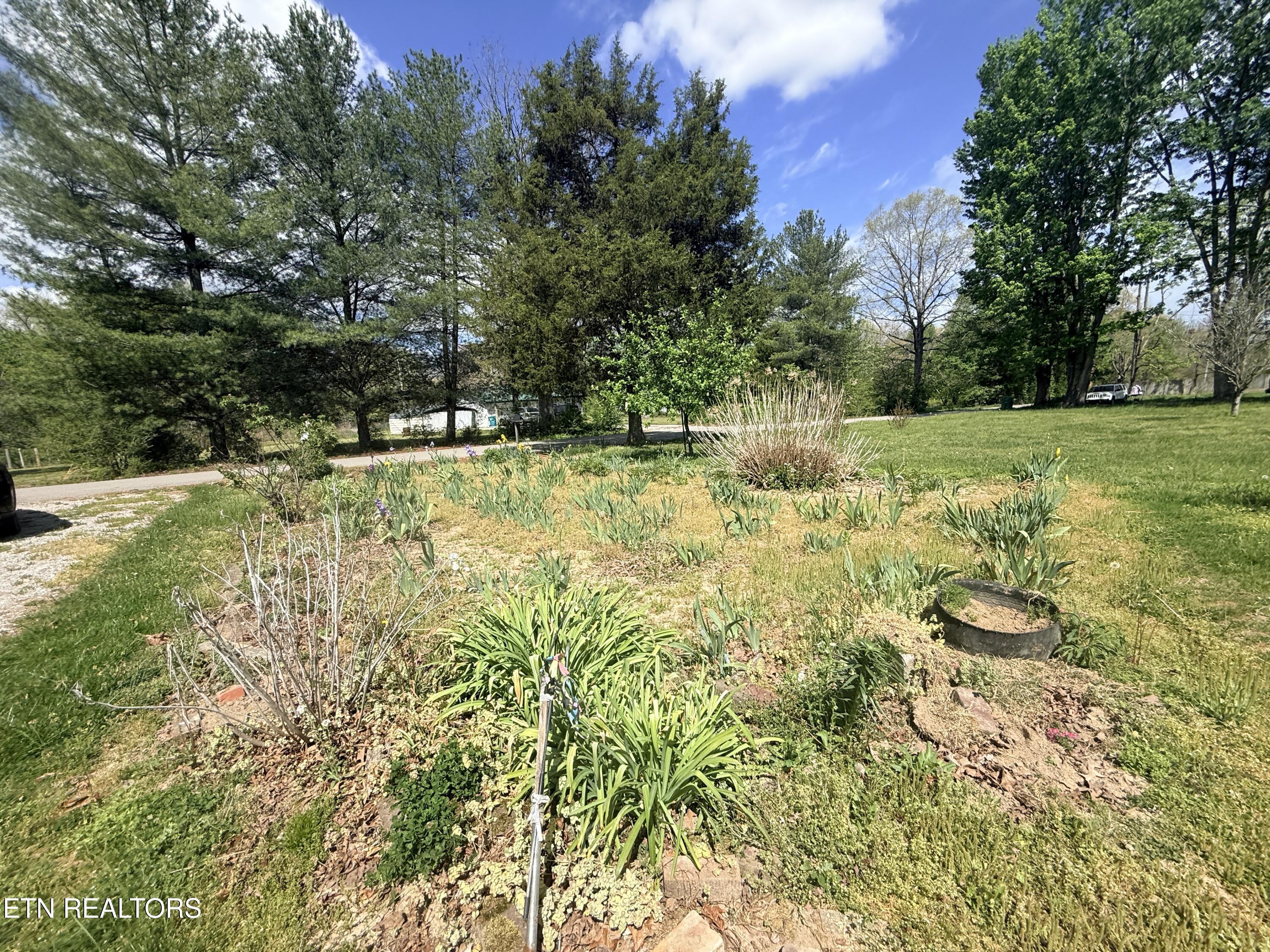 1243 Franklin Loop Clarkrange, TN 38553 - Photo 29 of 46 IMG_3532