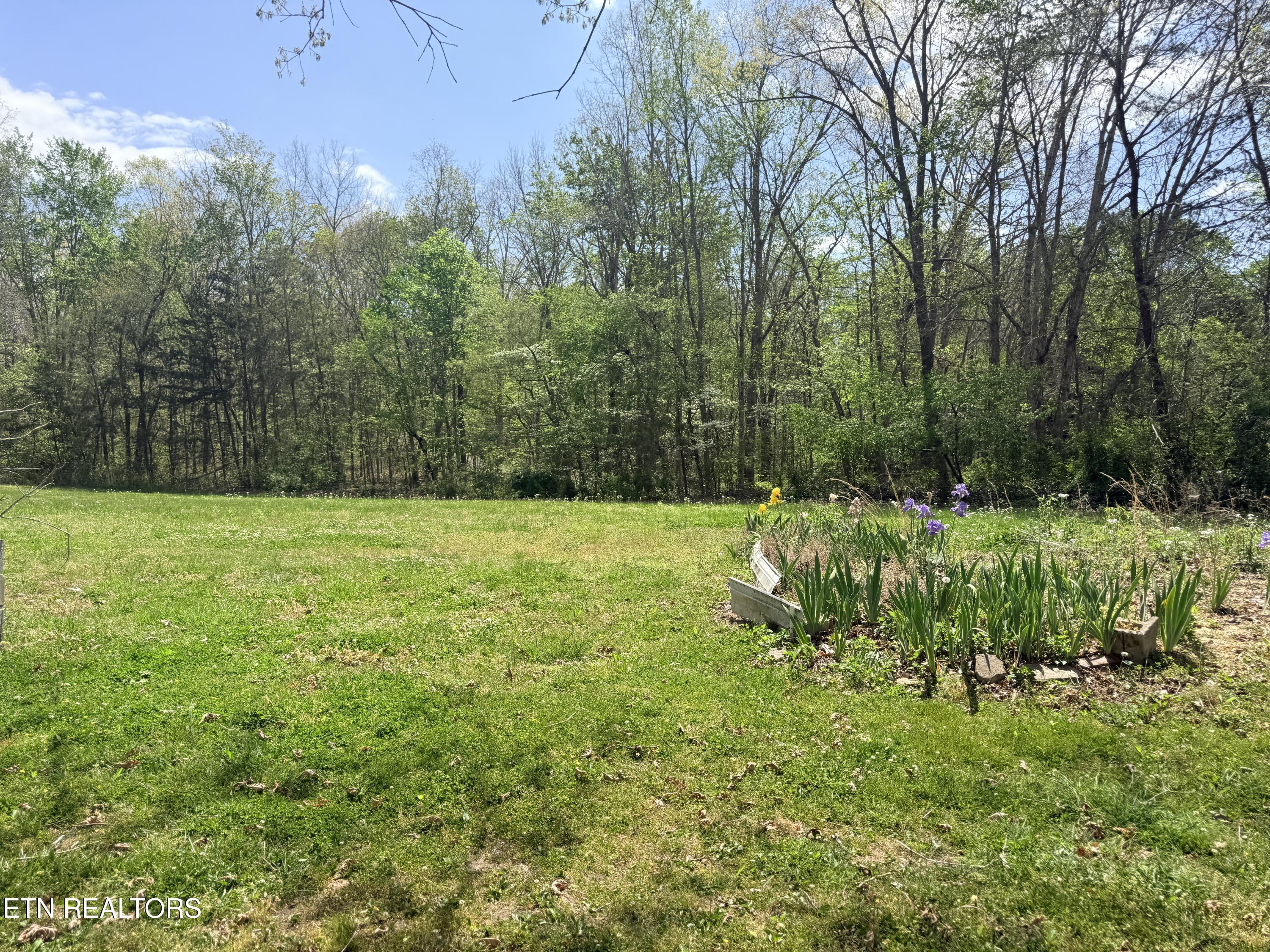 1243 Franklin Loop Clarkrange, TN 38553 - Photo 4 of 18 IMG_3543