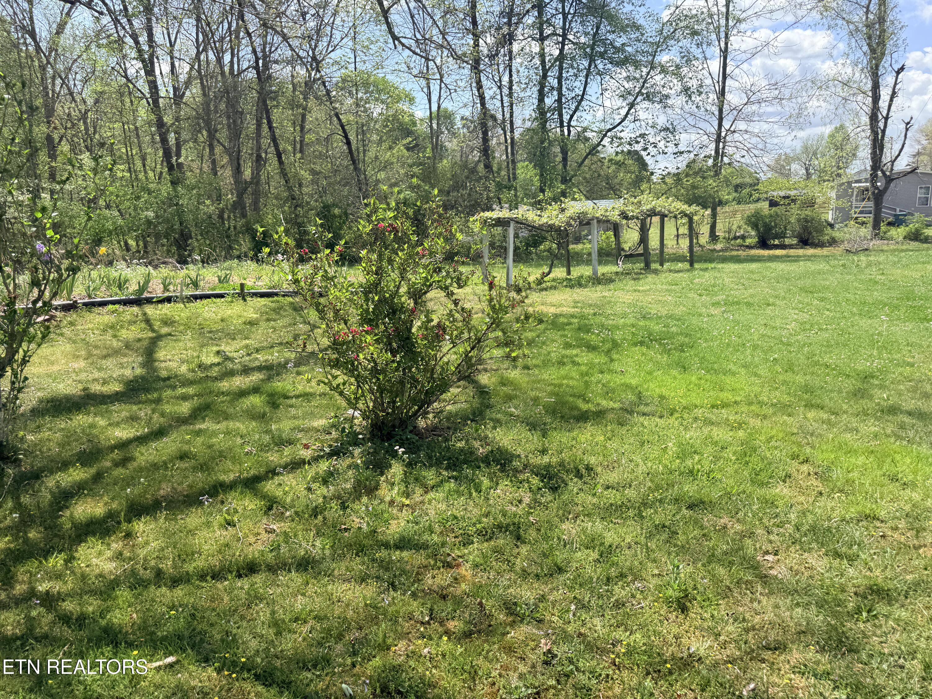 1243 Franklin Loop Clarkrange, TN 38553 - Photo 6 of 18 IMG_3551