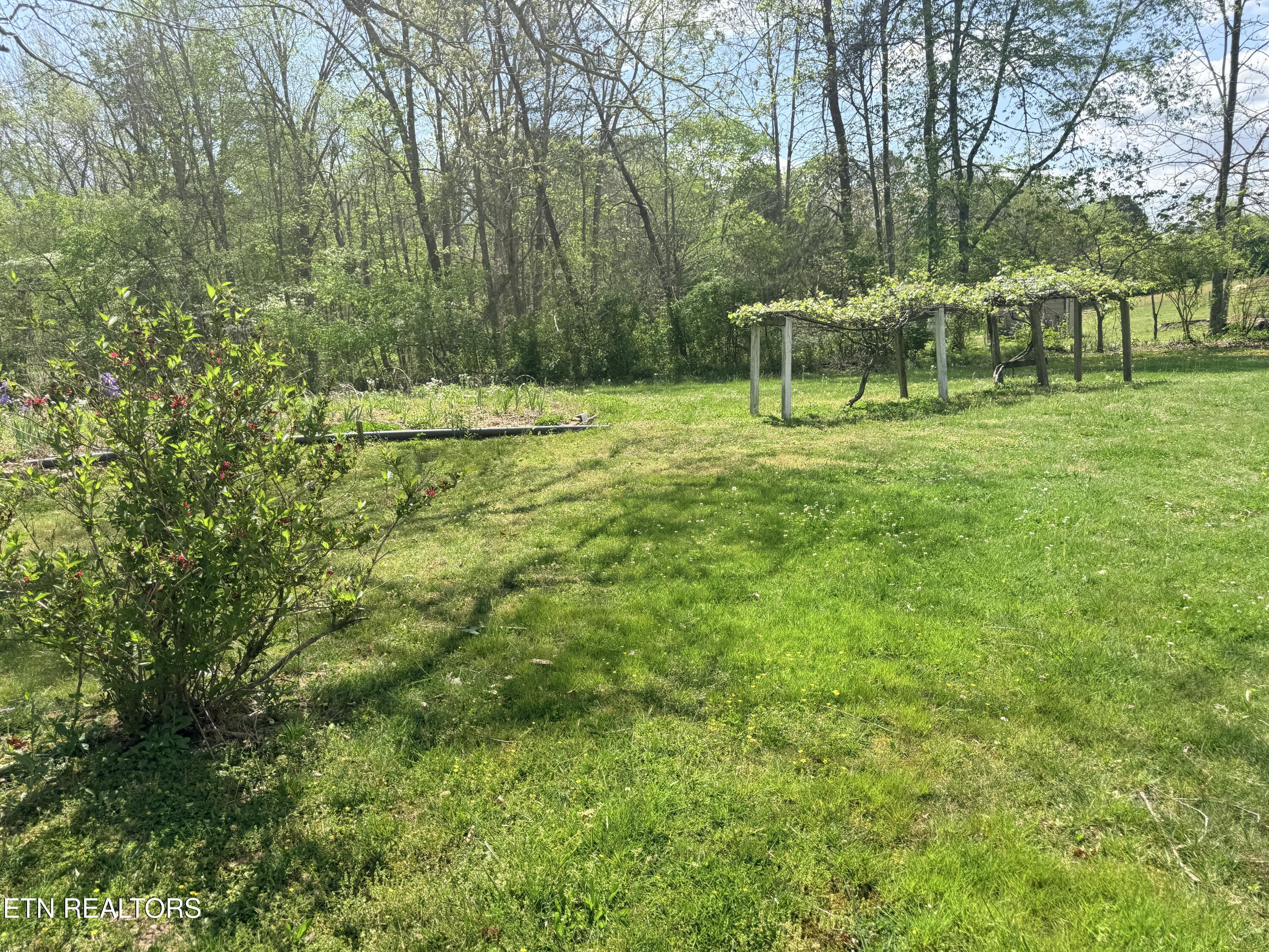 1243 Franklin Loop Clarkrange, TN 38553 - Photo 7 of 18 IMG_3552