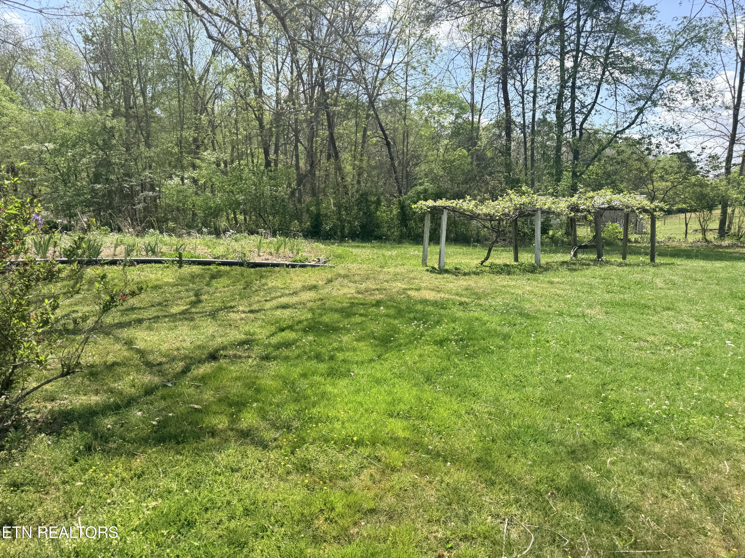 1243 Franklin Loop Clarkrange, TN 38553 - Photo 8 of 18 IMG_3553