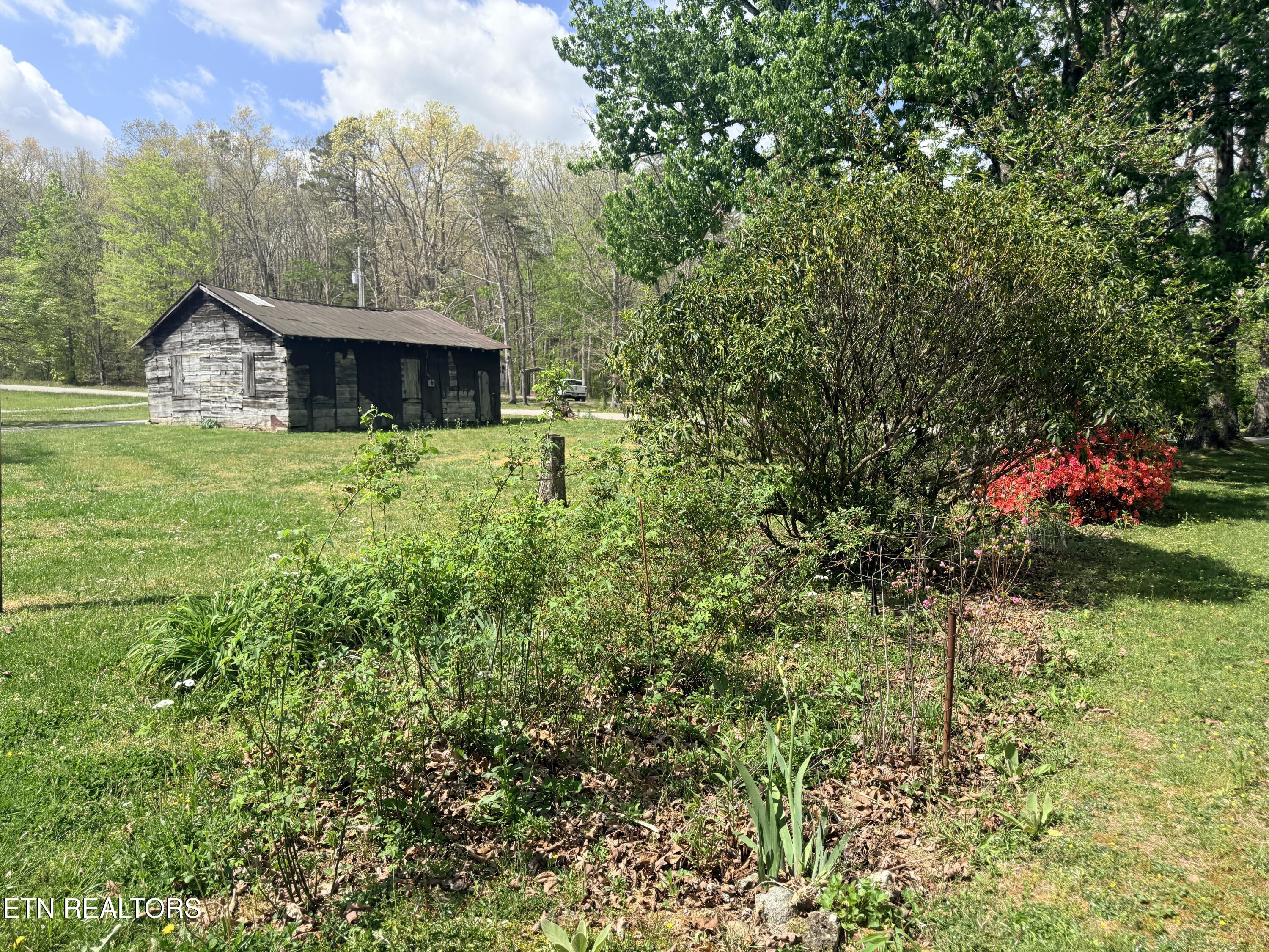 1243 Franklin Loop Clarkrange, TN 38553 - Photo 10 of 18 IMG_3555