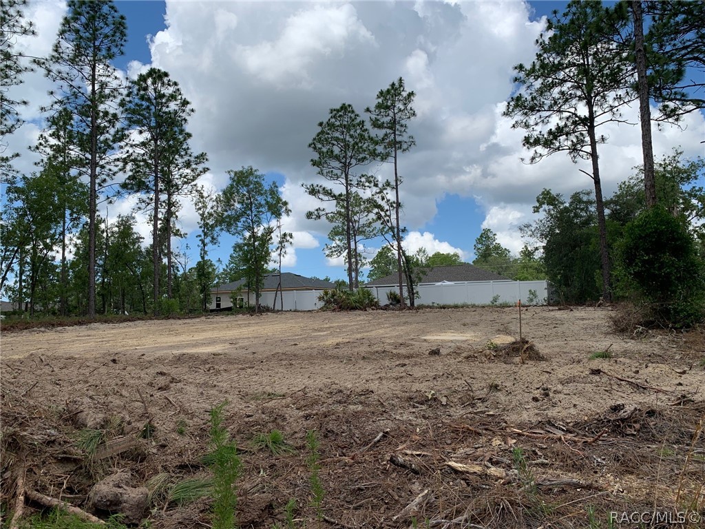547 West Homeway Loop Citrus Springs, FL 34434 - Photo 2 of 8 ACTUAL HOMESITE- TAKEN 6/12/2026