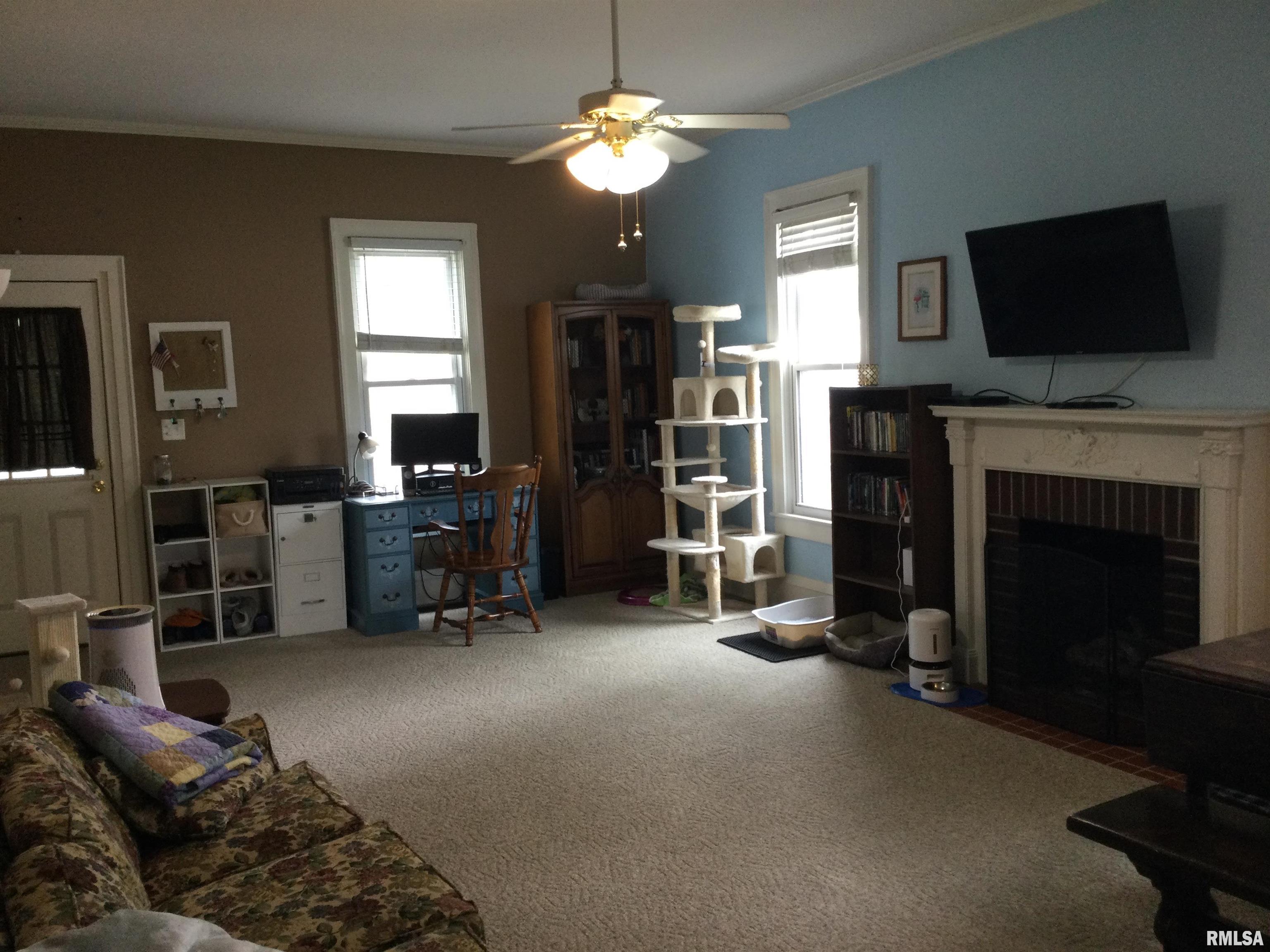 401 South Street Anna, IL 62906 - Photo 11 of 22