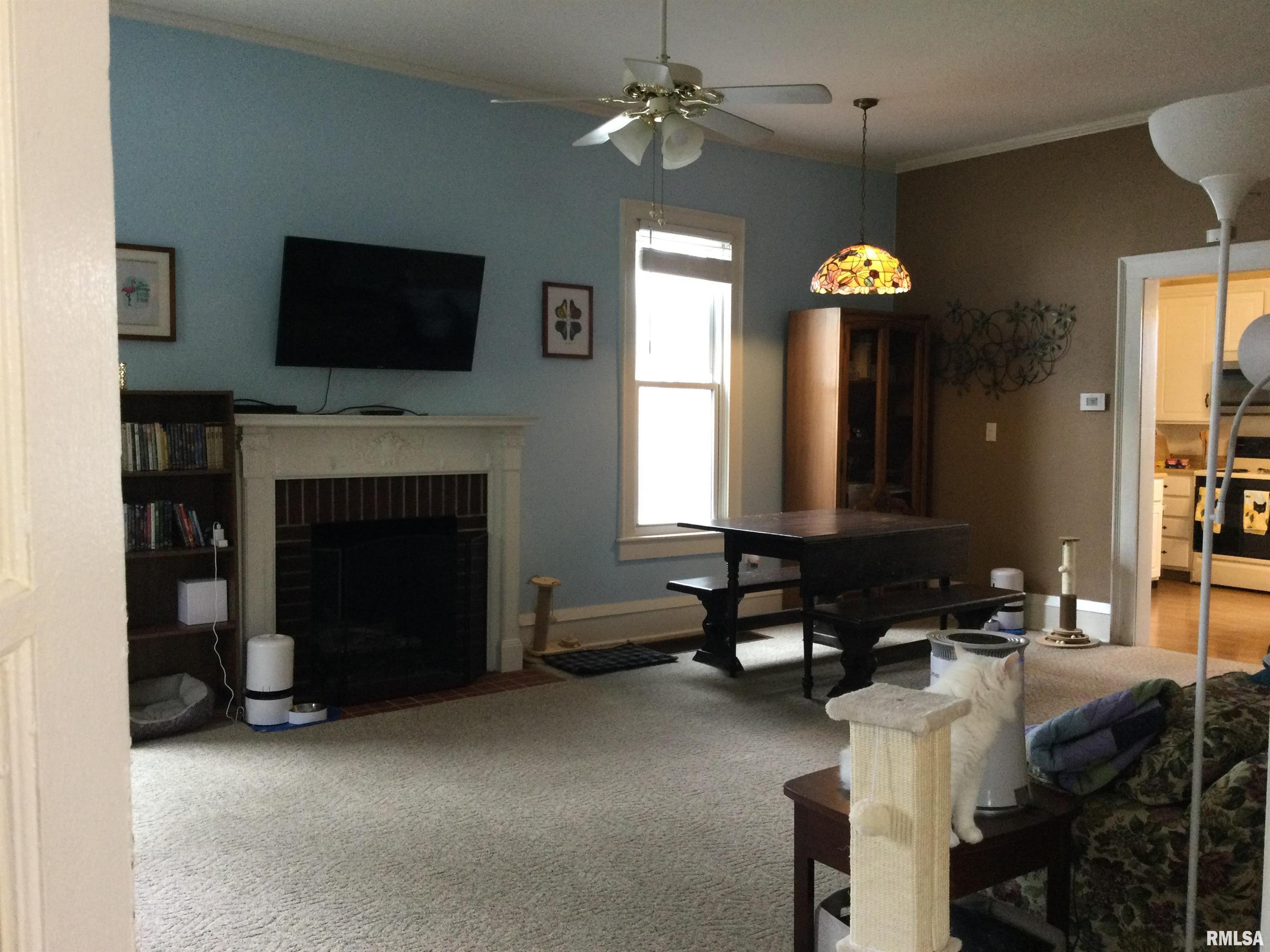401 South Street Anna, IL 62906 - Photo 6 of 22
