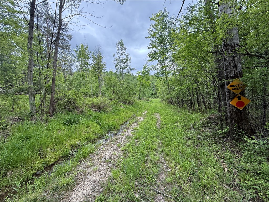Hawley Road Bradford, NY 14815 - Photo 13 of 42