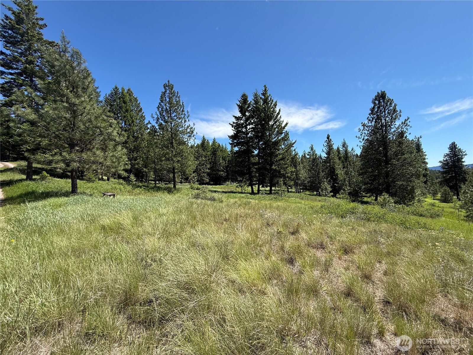 5 Hidden Spring Ranch Road Republic, WA 99166 - Photo 15 of 22