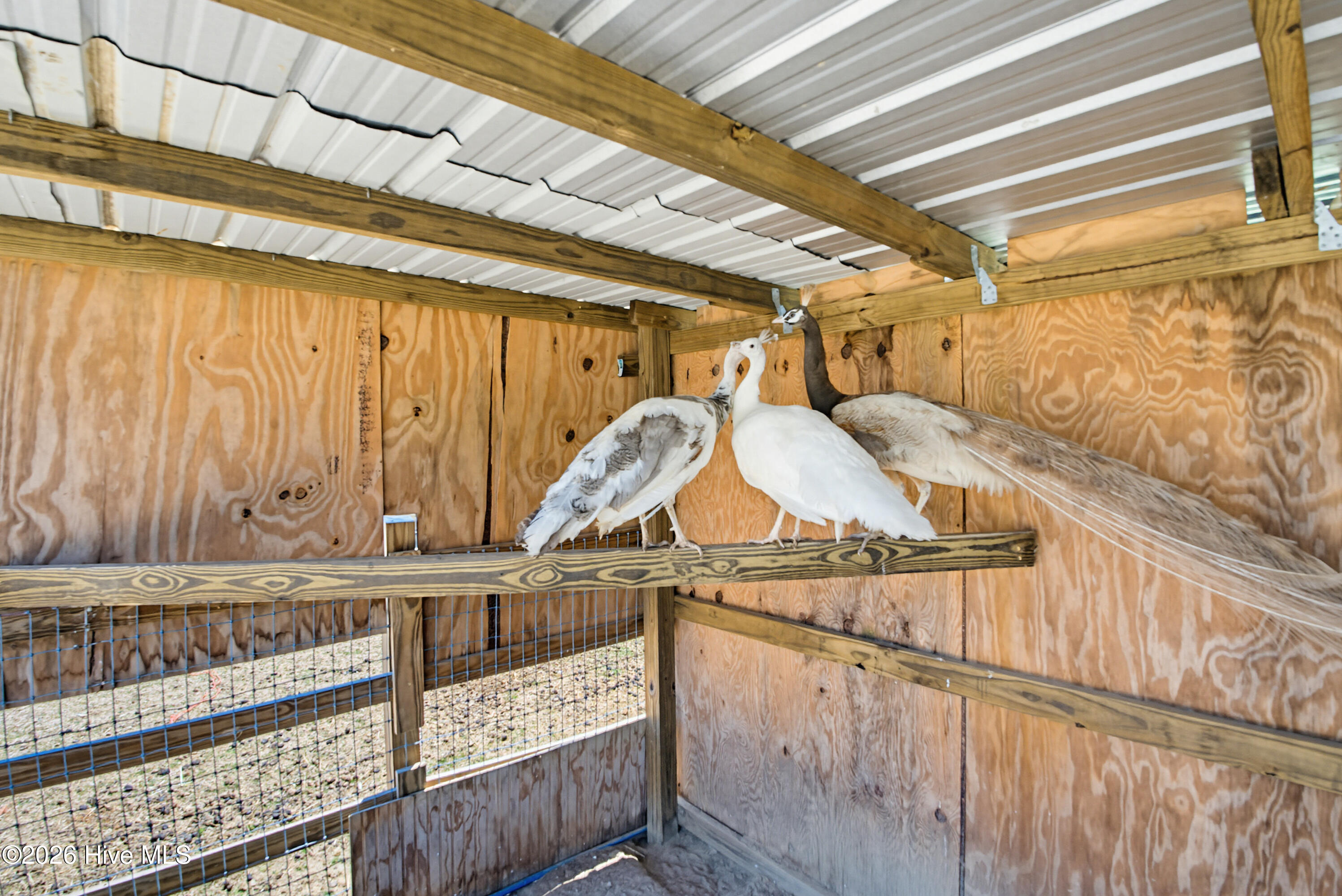 6615 Silver Spoon Road Clarkton, NC 28433 - Photo 41 of 53 MLS_Ready (27 of 40)