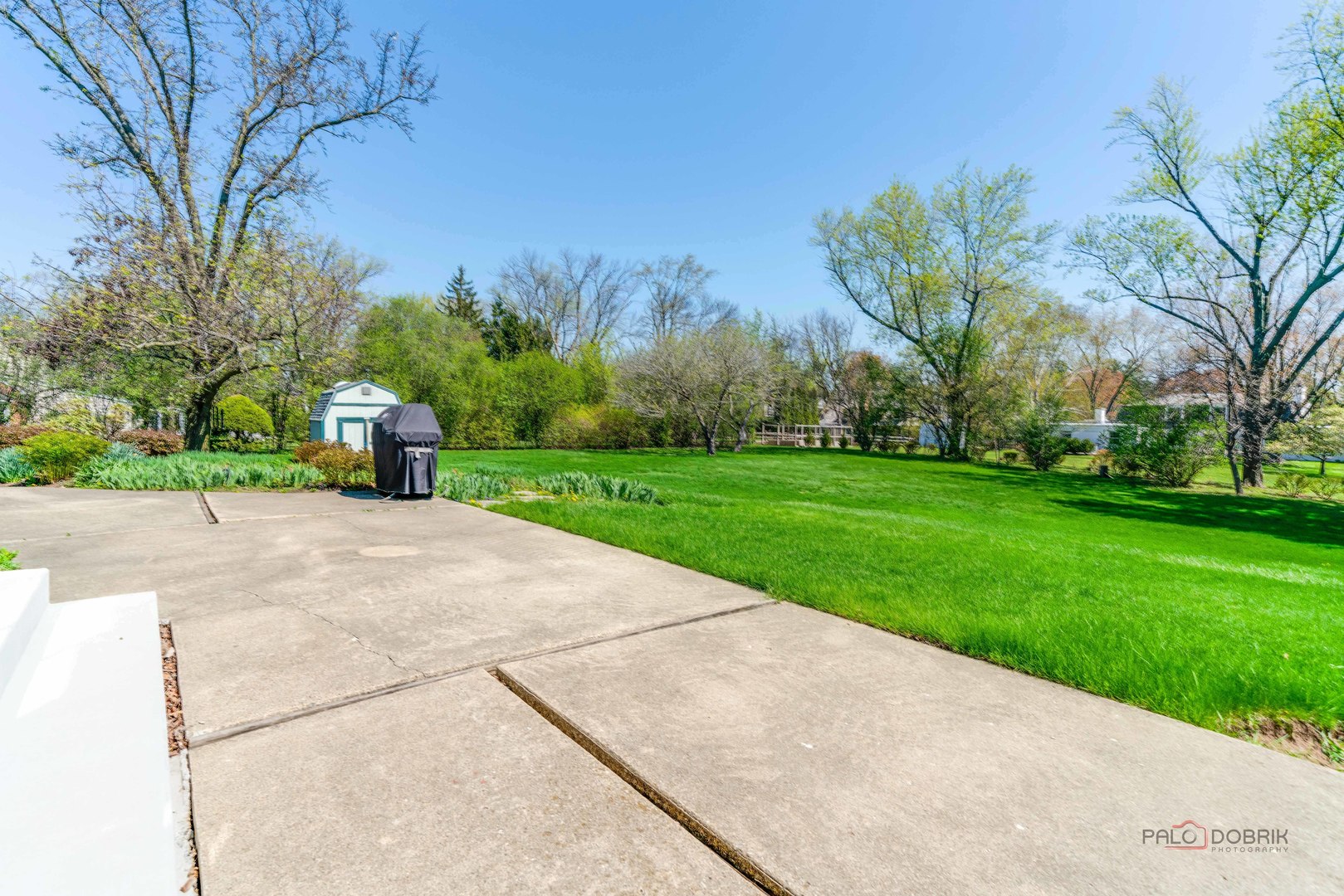 37 Forest Hills Road Lake Bluff, IL 60044 - Photo 40 of 52 a view of a park with large trees