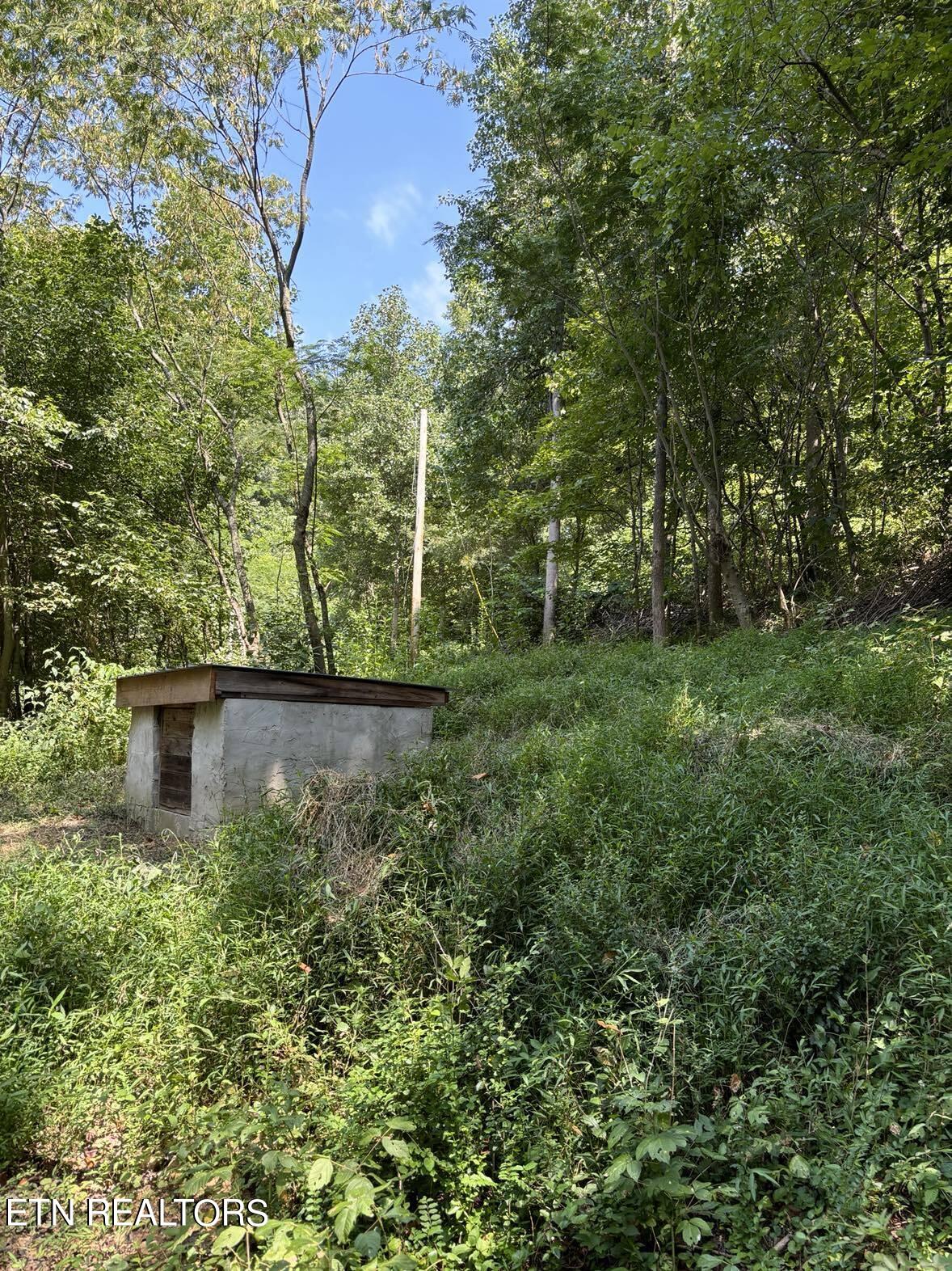 Swan Pond Road Harriman, TN 37748 - Photo 3 of 4 Pic C