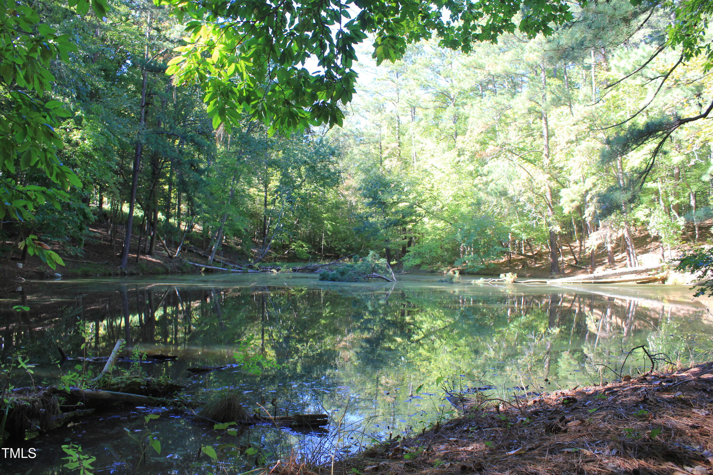 6300 Swallow Cove Lane Raleigh, NC 27614 - Photo 63 of 67 a view of a lake in between two of the trees