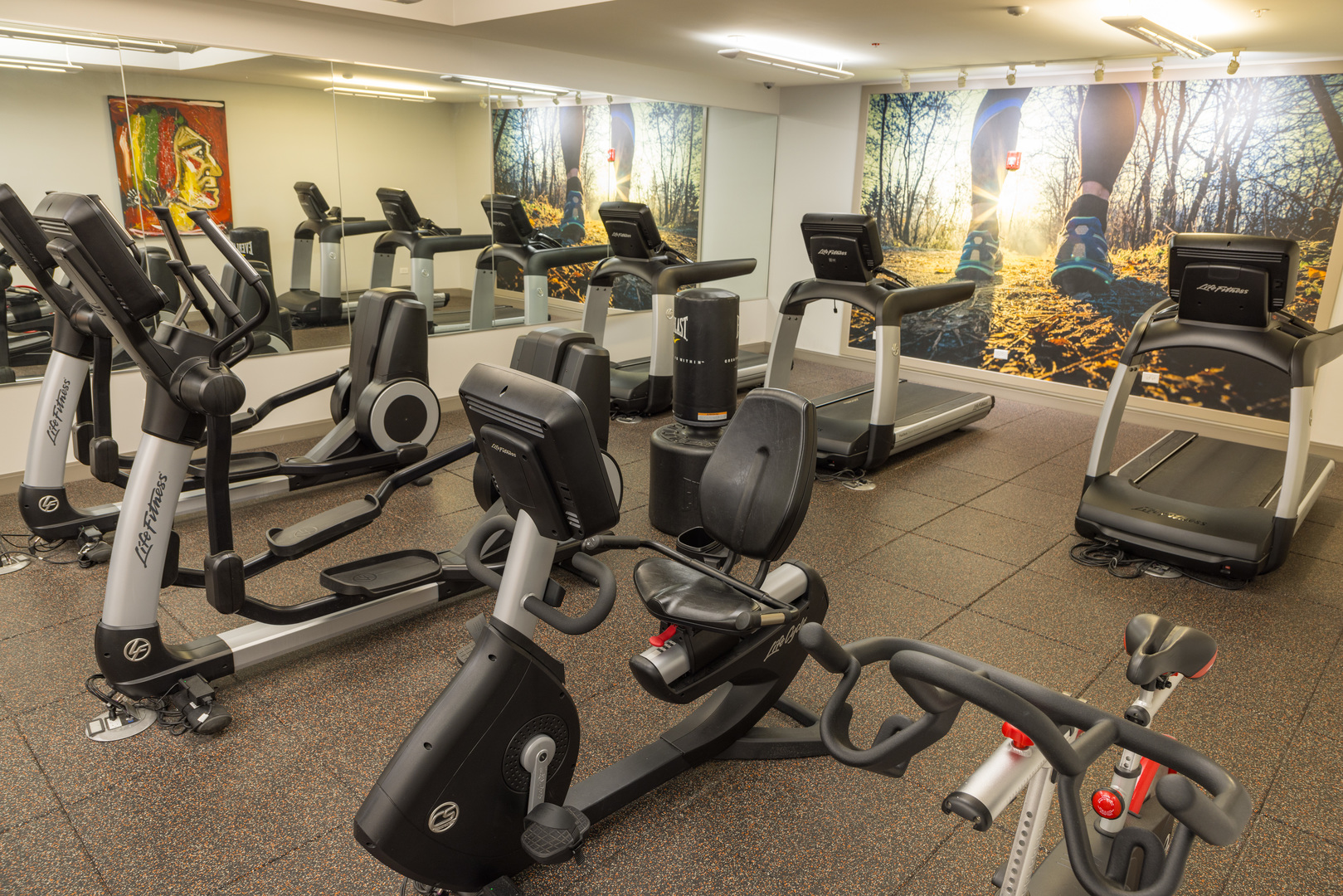 255 North Addison Avenue, Unit 208 Elmhurst, IL 60126 - Photo 17 of 19 a view of a room with gym equipment