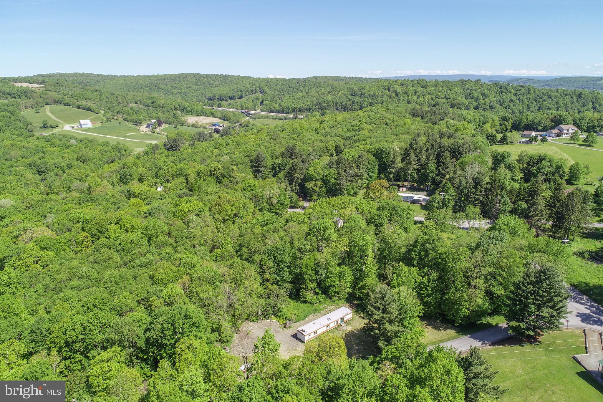 a view of a green field with lots of bushes