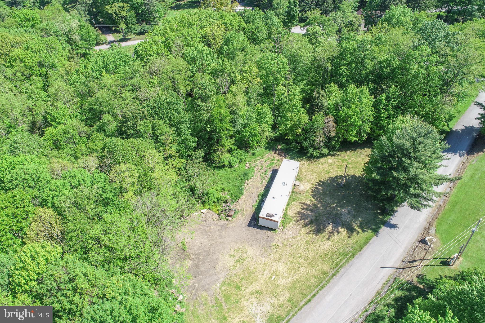 1011 Teets Road Friendsville, MD 21531 - Photo 12 of 19 a view of a yard with plants and large tree