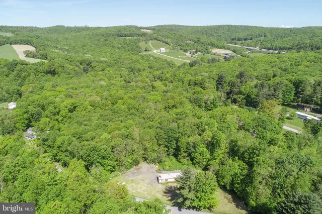 a view of a lush green forest with lots of trees