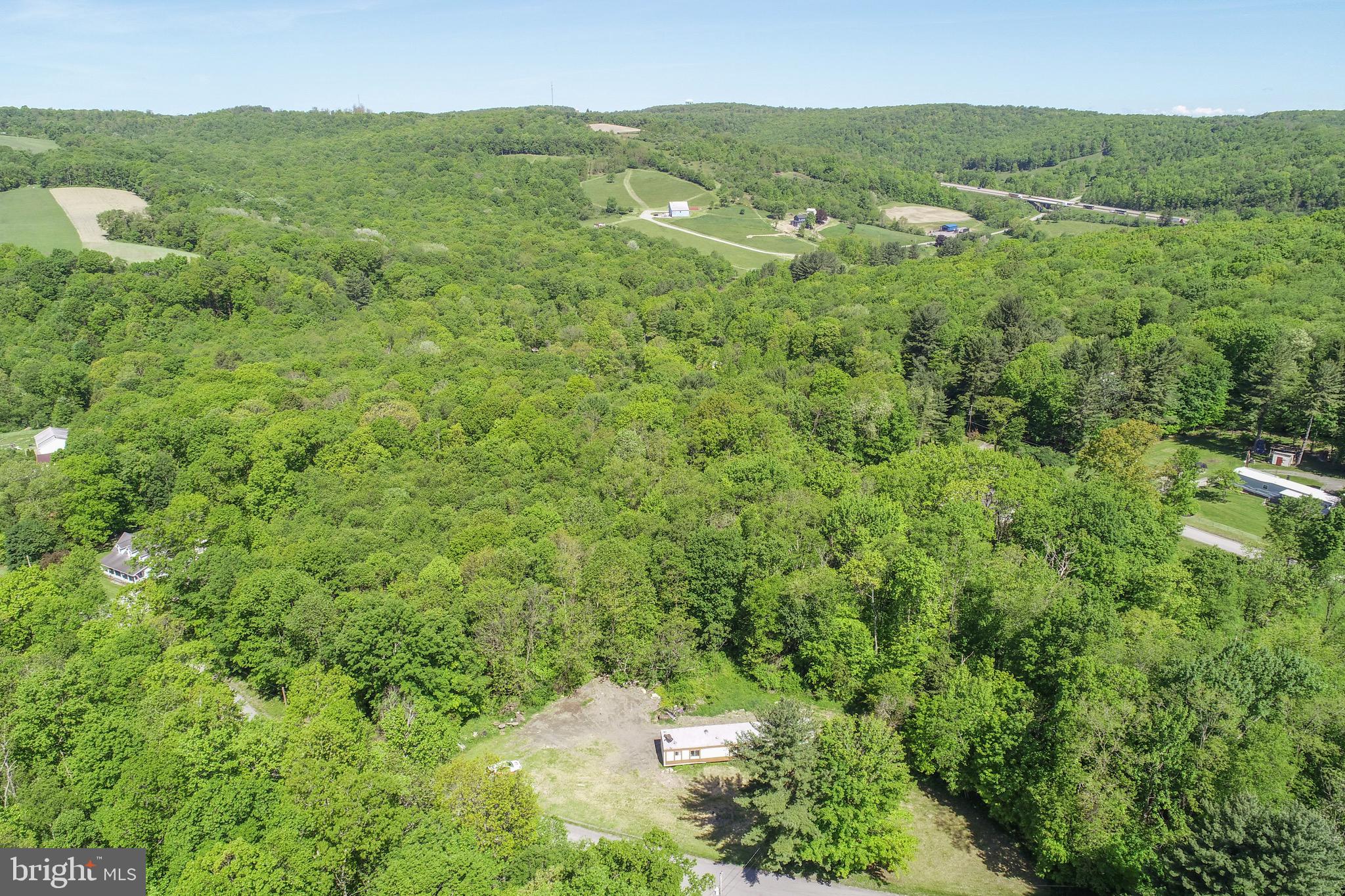 1011 Teets Road Friendsville, MD 21531 - Photo 13 of 19 a view of a city with lush green forest