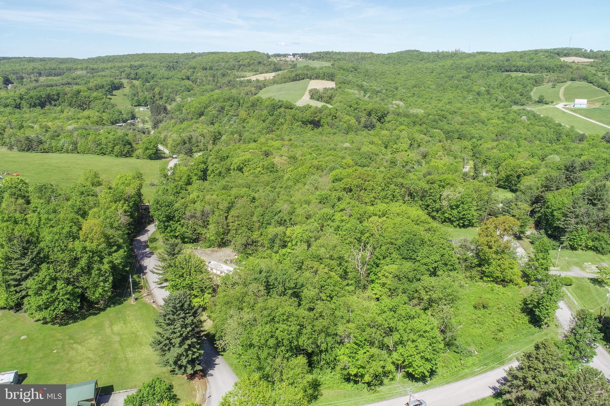 1011 Teets Road Friendsville, MD 21531 - Photo 14 of 19 a view of a green yard with an oven and a lake