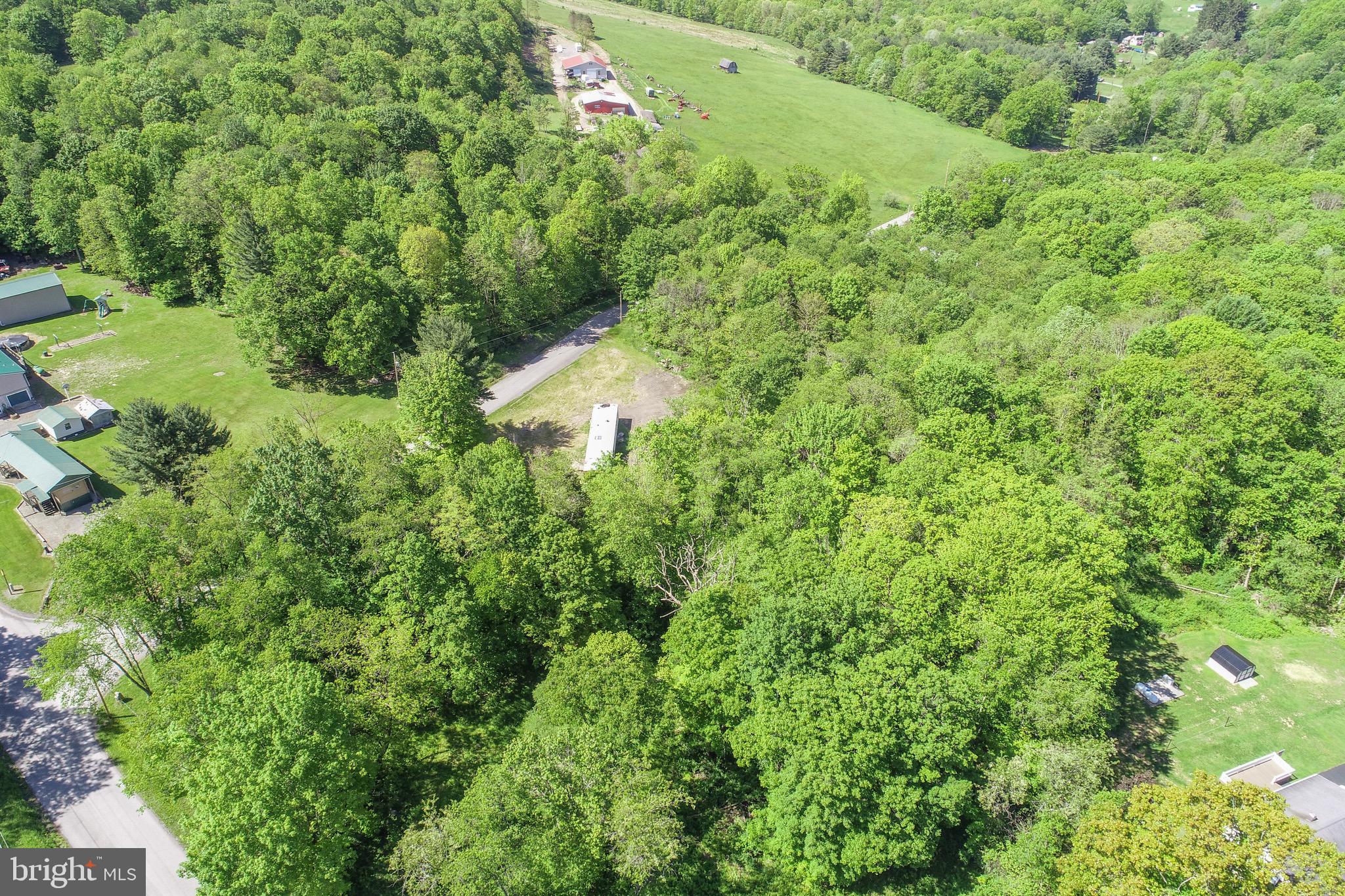 1011 Teets Road Friendsville, MD 21531 - Photo 15 of 19 a view of a bunch of trees and bushes