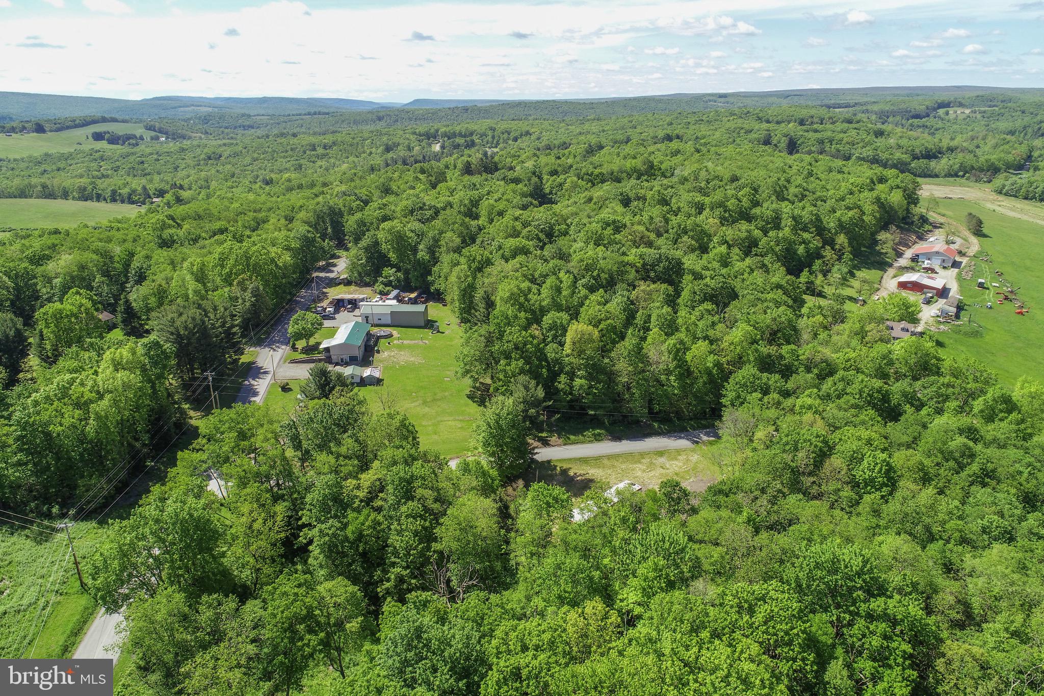 1011 Teets Road Friendsville, MD 21531 - Photo 16 of 19 a view of a lush green forest with lots of trees