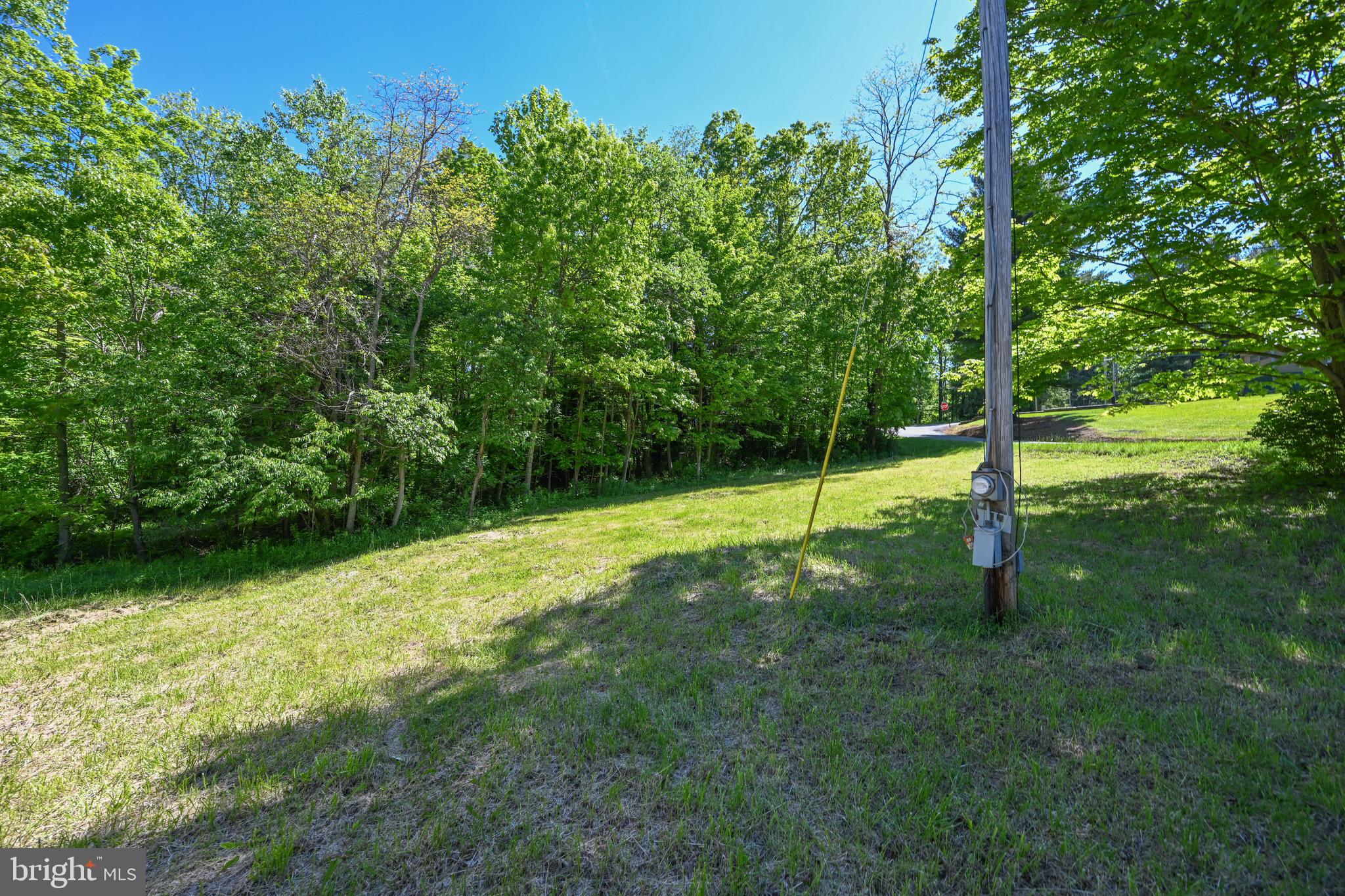 1011 Teets Road Friendsville, MD 21531 - Photo 19 of 19 a view of a park with a tree