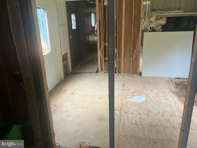 a view of a yard with plants and large tree