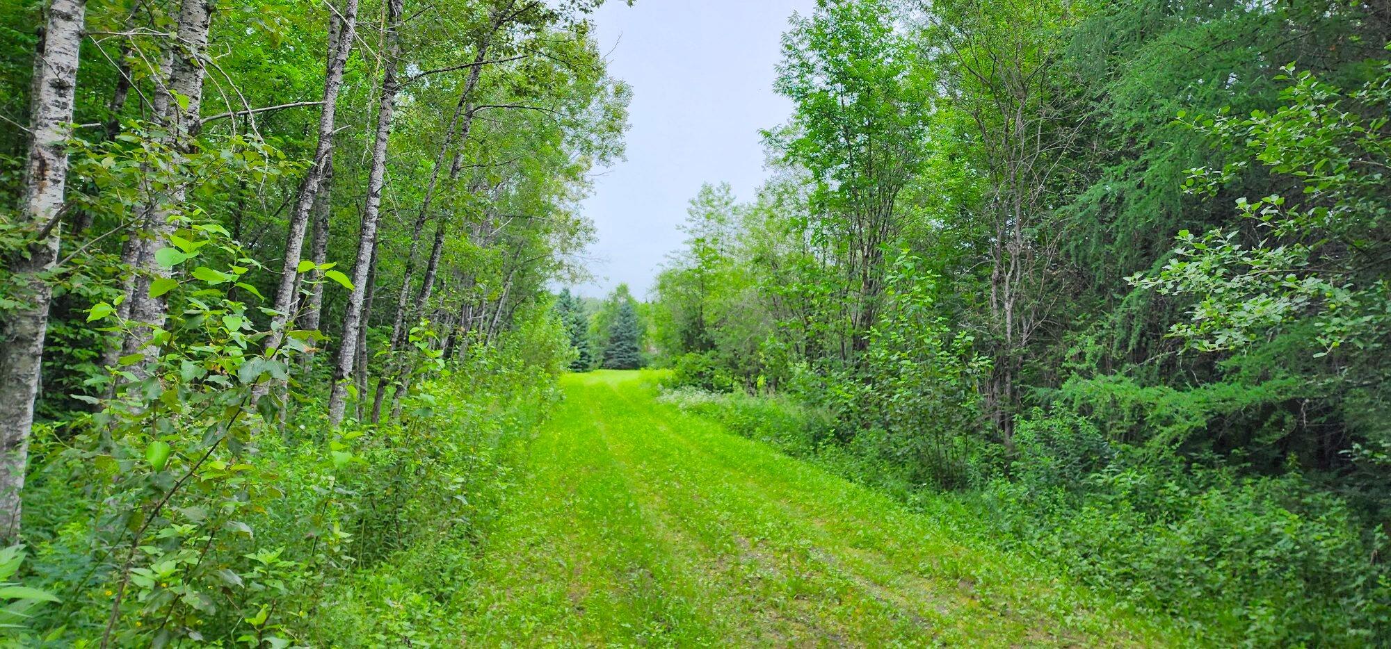 405 New Dunn Town Road Washburn, ME 04786 - Photo 14 of 51 20230716_095942