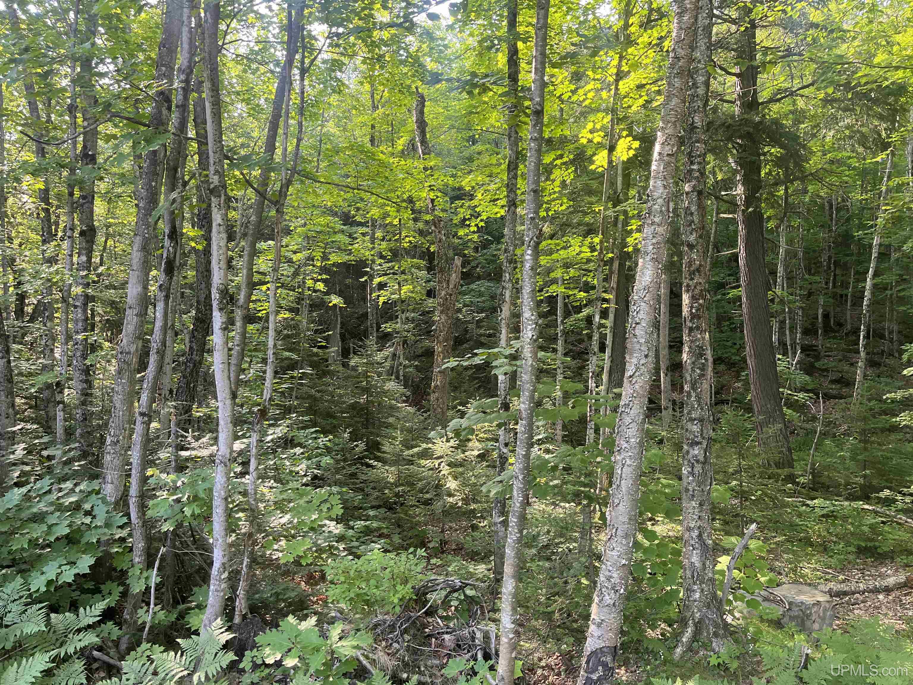510 Rd Ishpeming Mi 49849 Road Negaunee, MI 49866 - Photo 9 of 33