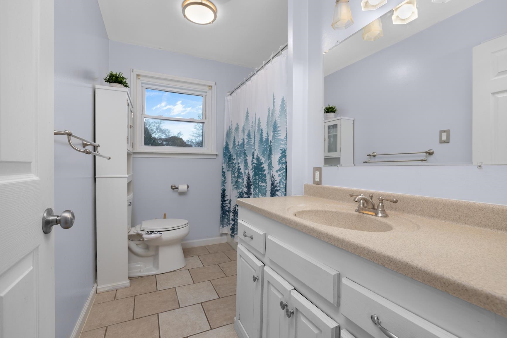 5466 Highway 59 Covington, TN 38019 - Photo 18 of 36 a bathroom with a sink a toilet and a mirror