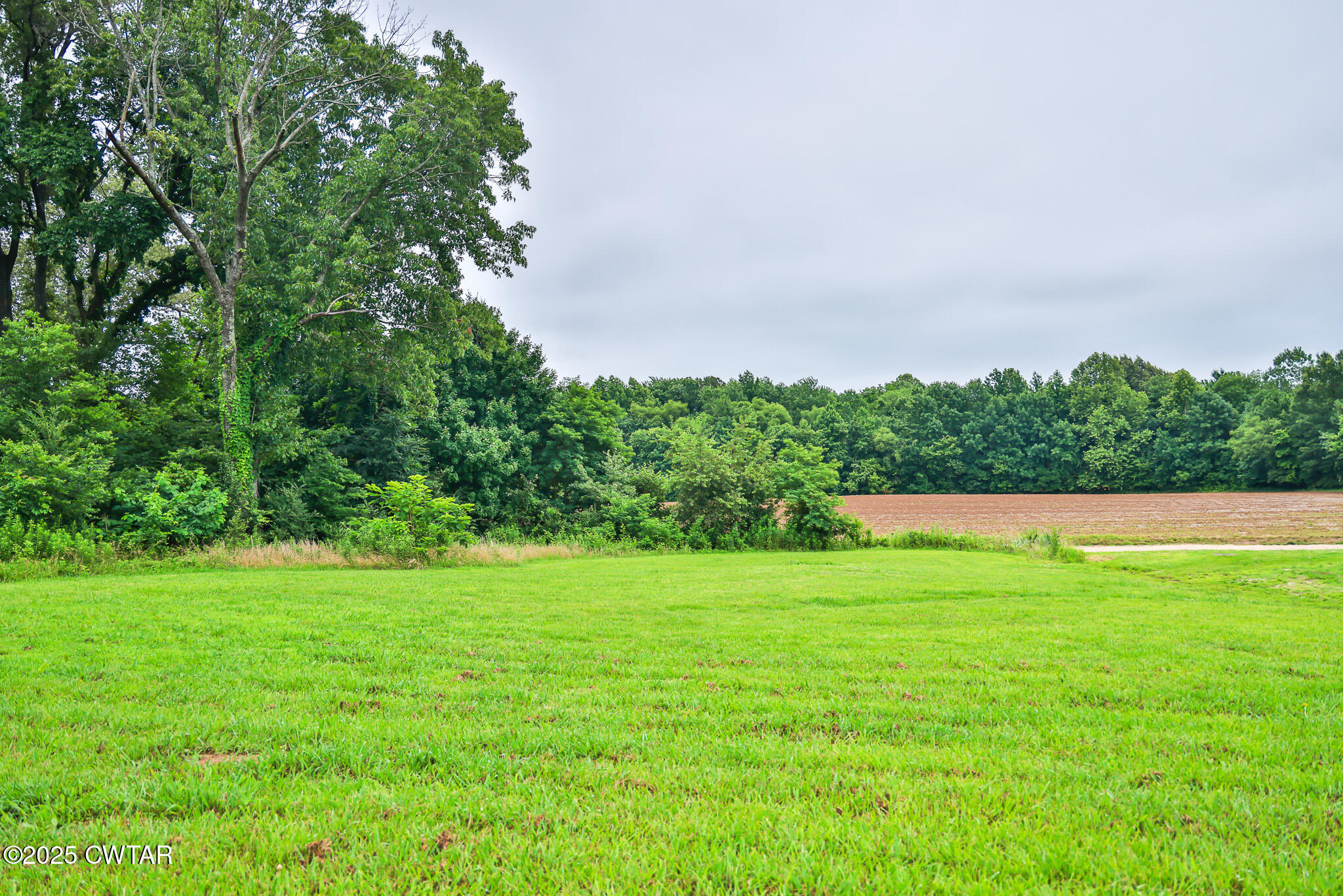 118 Harold Brown Road Dyer, TN 38330 - Photo 5 of 30 FT8A5944