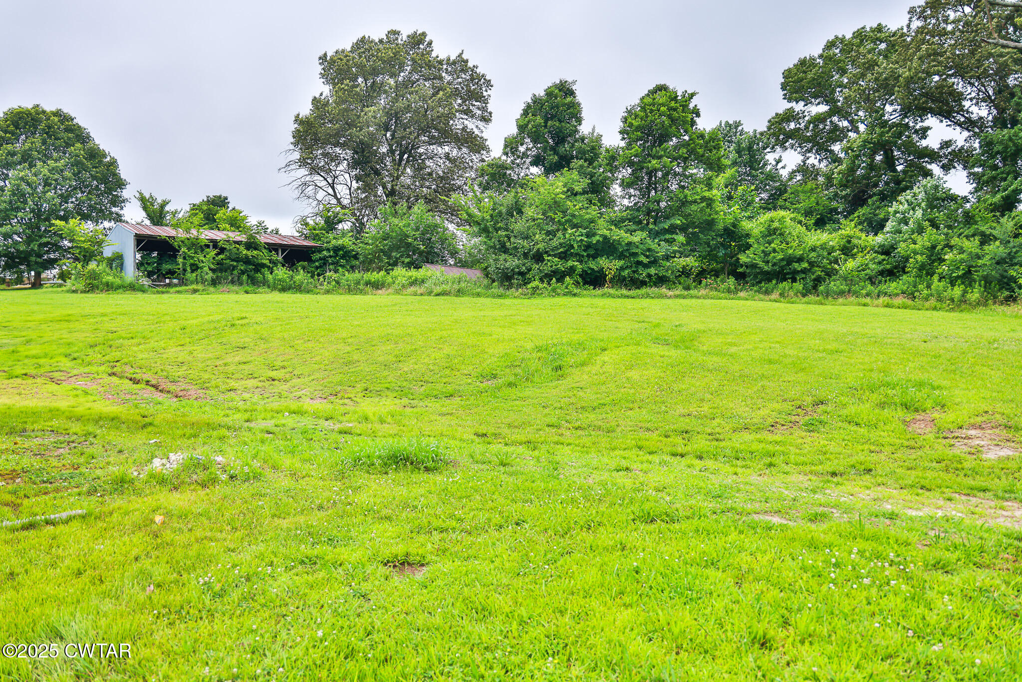 118 Harold Brown Road Dyer, TN 38330 - Photo 8 of 30 FT8A5947