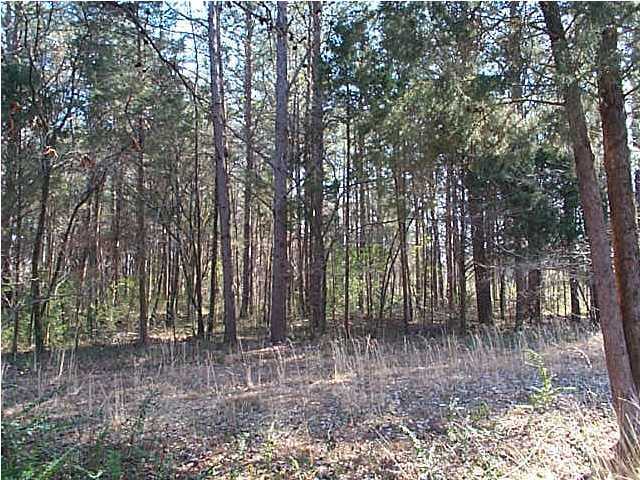 1180 Old Union Road Dunlap, TN 37327 - Photo 1 of 5 Primary Photo