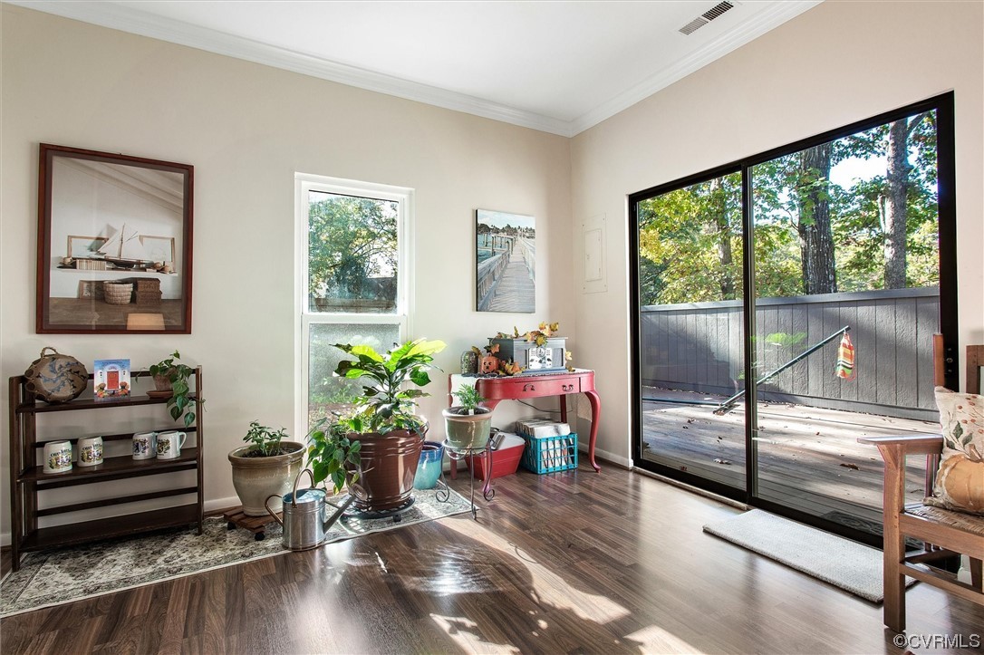 11629 East Briar Patch Drive Midlothian, VA 23113 - Photo 11 of 27 a room with furniture and a potted plant