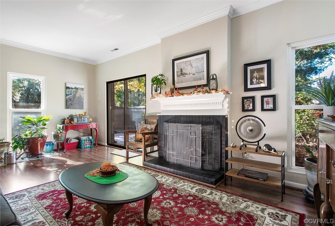 11629 East Briar Patch Drive Midlothian, VA 23113 - Photo 9 of 27 a living room with furniture a rug and a fireplace