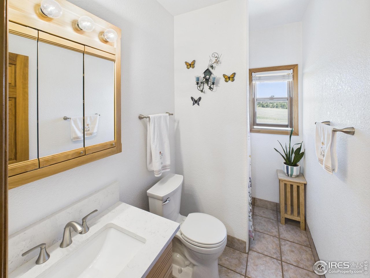 188 Old Ranch Road Livermore, CO 80536 - Photo 16 of 40 3/4 guest bath