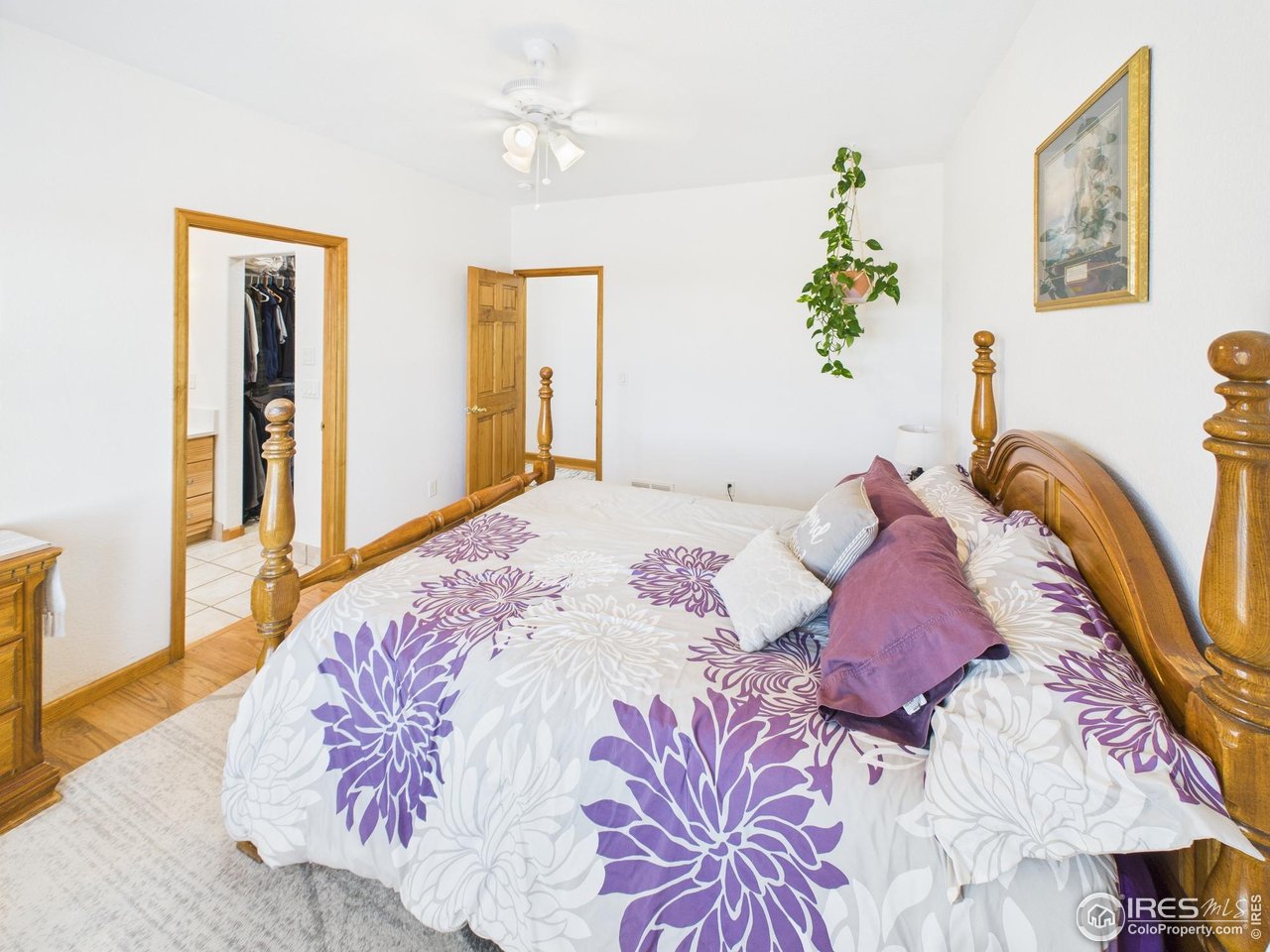 188 Old Ranch Road Livermore, CO 80536 - Photo 18 of 40 Master suite with walk-in closet and full bath