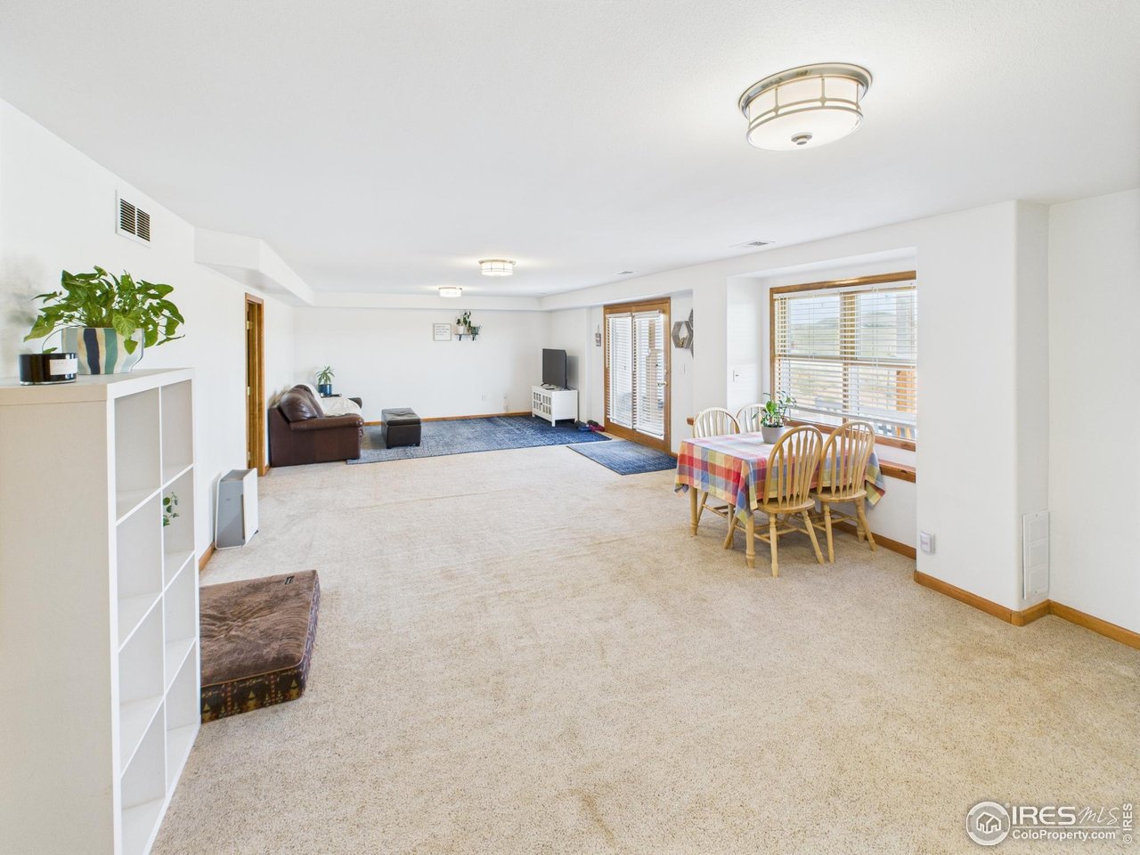 188 Old Ranch Road Livermore, CO 80536 - Photo 20 of 40 Basement living room/dining