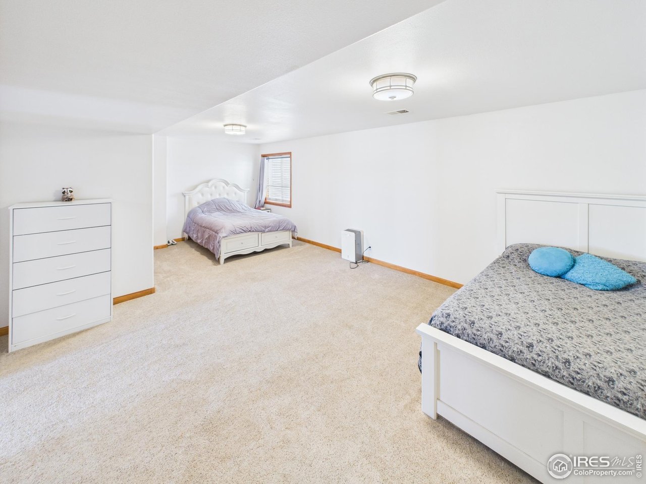 188 Old Ranch Road Livermore, CO 80536 - Photo 26 of 40 Incredibly spacious basement bedroom