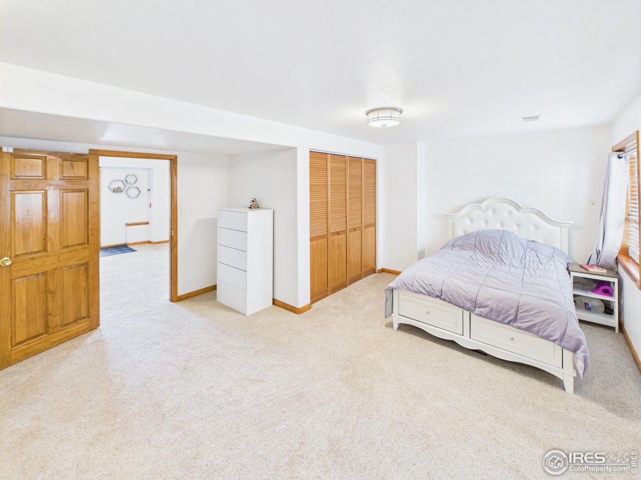 188 Old Ranch Road Livermore, CO 80536 - Photo 27 of 40 Basement bedroom