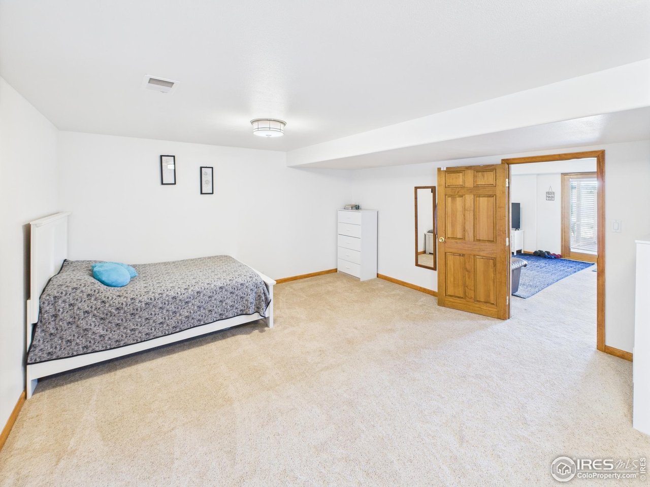 188 Old Ranch Road Livermore, CO 80536 - Photo 28 of 40 Basement bedroom