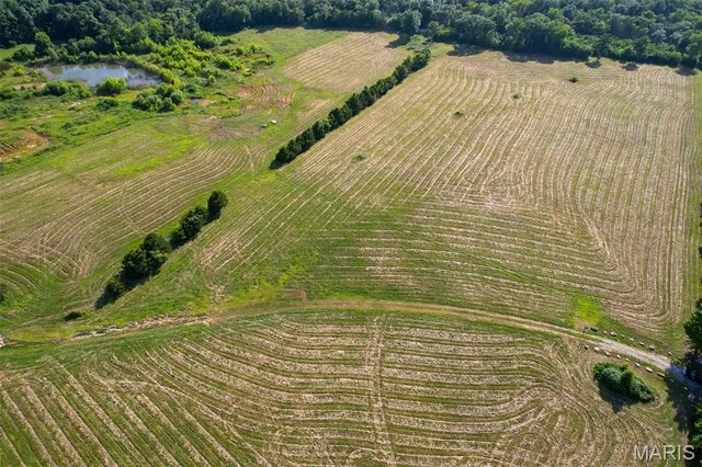 $150,000 | 0 State Hwy BB, Caledonia, MO 63631