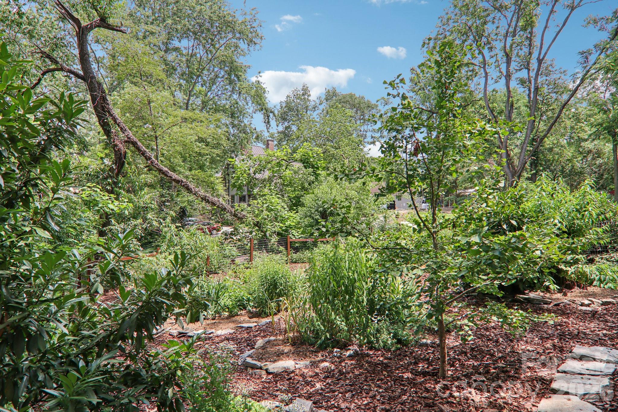 39 Short Street Asheville, NC 28801 - Photo 37 of 39 a view of a garden with plants