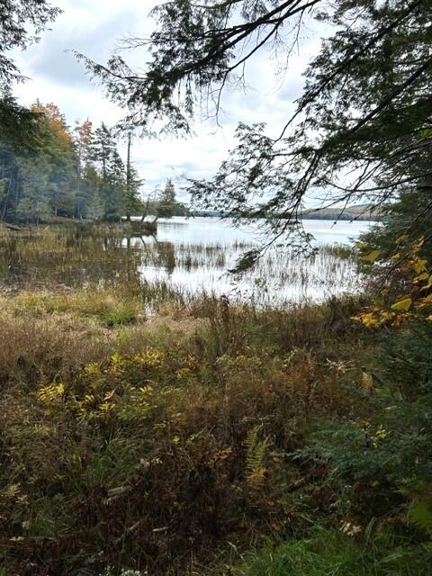 361 Tim's Cove Road Willimantic, ME 04443 - Photo 3 of 15 Bergeron 18