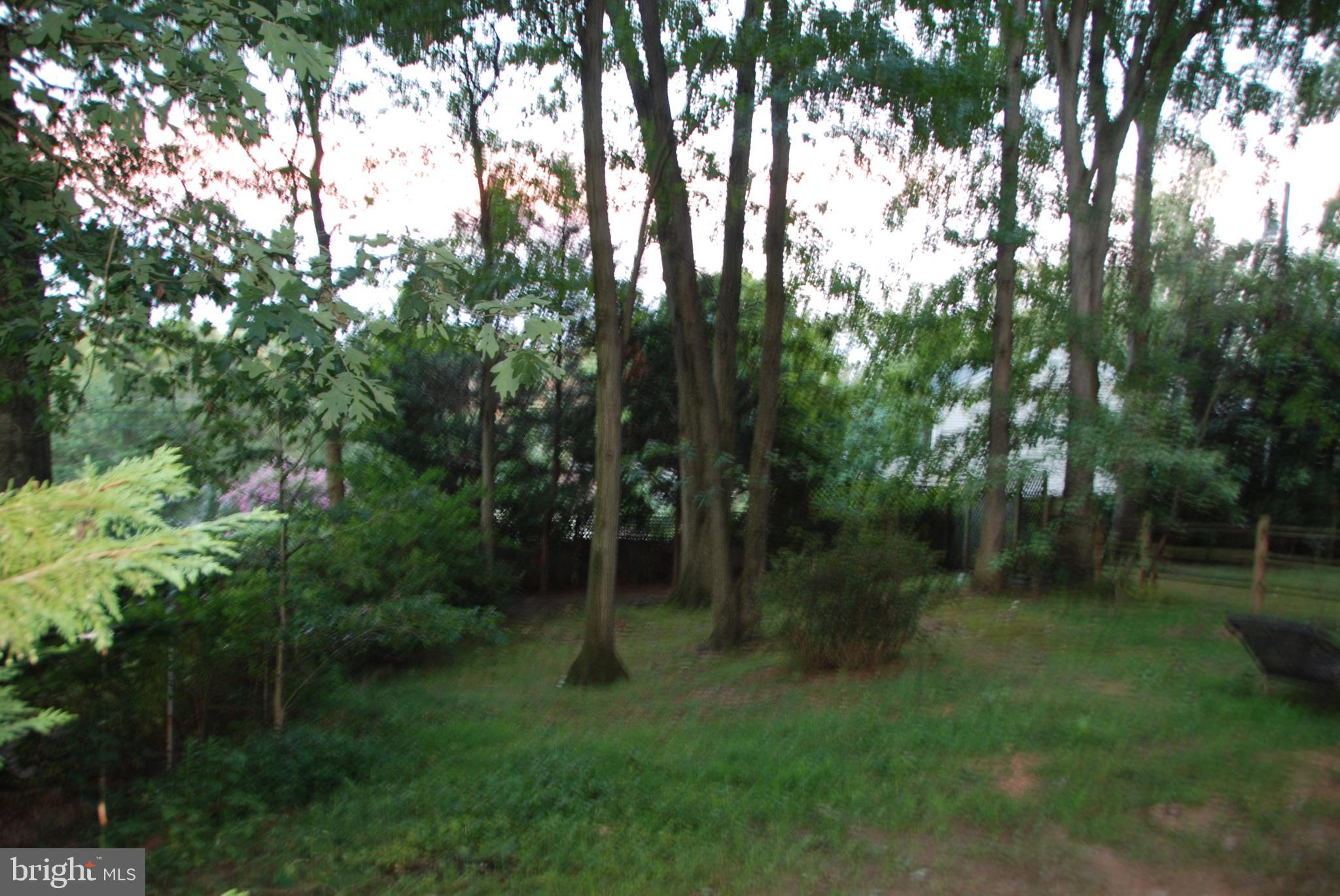 6909 Banbury Road Baltimore, MD 21239 - Photo 11 of 14 Good sized treed back yard.