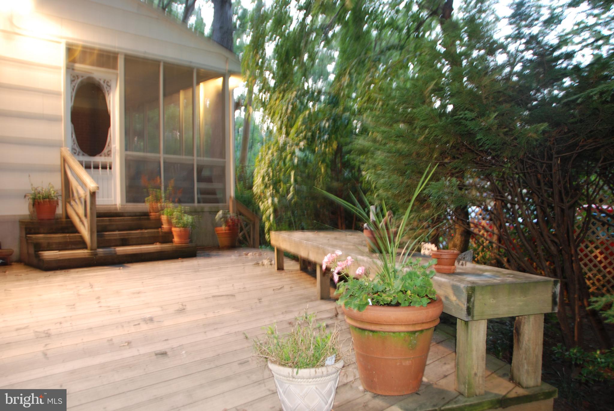 6909 Banbury Road Baltimore, MD 21239 - Photo 9 of 14 Wooden Deck outside the screened porch.